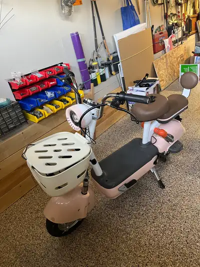 2025 Racoon Electric Scooter, View more