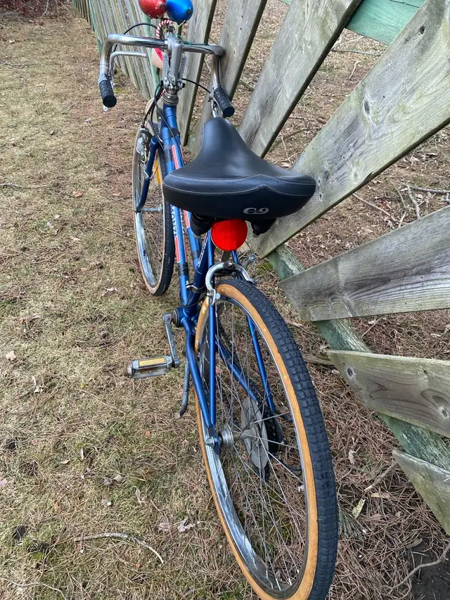 Bike- 10 Speed in Mountain in Kawartha Lakes - Image 4