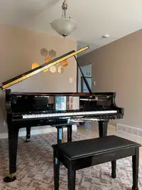 Essex EGP-173 5'8" Classic Grand Piano