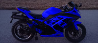 Blue Emmo Zone Max Motorcycle Artwork $10 Only