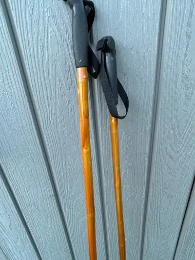 Ski Poles, View more