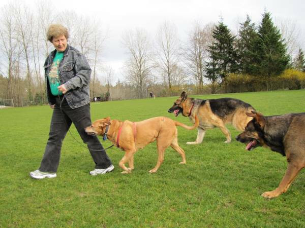 "COME TO ME"  DOG TRAINING in Animal & Pet Services in Burnaby/New Westminster