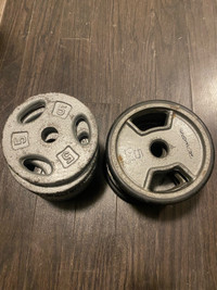 Plate weights