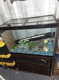 Fish tanks and reptile tank for sale.