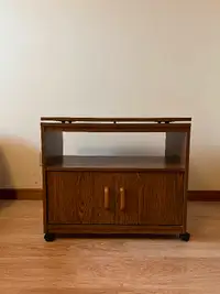 living room cabinet / TV table