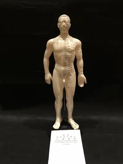 50 cm tall, male English and Chinese Shipping could be arranged through Canada Post at buyer’s expen...