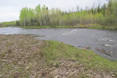 tres beau terrain pres d'une belle grande riviere , ont peu se baigné , allé a la peche etc , ont pe...