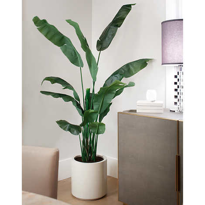 - Height: 78 inches (6.5 feet) for a striking presence in any room - Lifelike Foliage: Crafted with...
