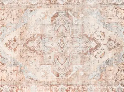 Area Rug: Weathered Persian-Inspired with Soft Terracotta & Blue, View more