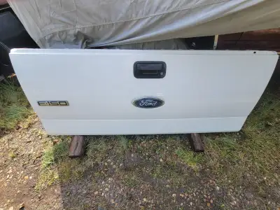 2004 Ford F150 tailgate. Nice shape, super clean & rust free. Plastic capper is off to show no damag...