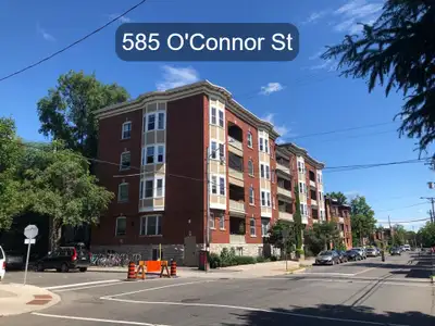 CURRENTLY BEING FULLY RENOVATED! Big, sunny 1 bedroom apartment located in the heart of the Glebe at...