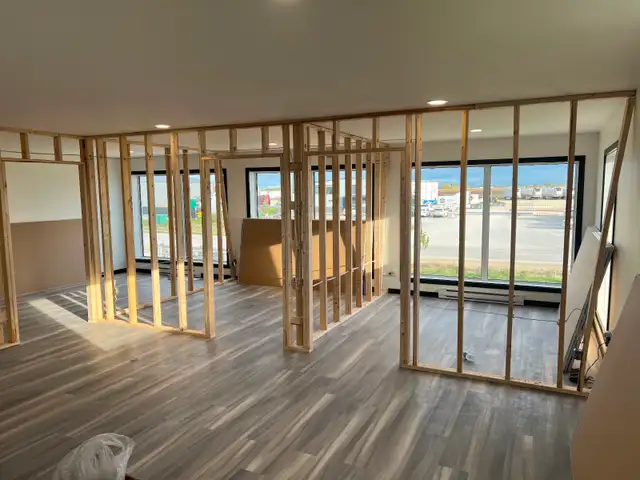 Basement and renovation services