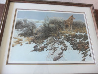 Robert Bateman Coyote In Winter Sage Ltd Edition Print