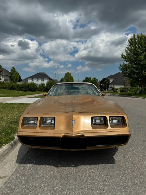 1981 Pontiac Trans Am