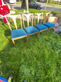 Set of  dinning  chairs 