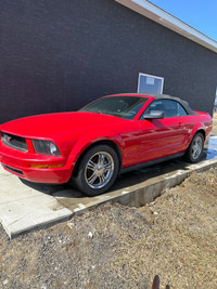 2007 ford mustang convertible 