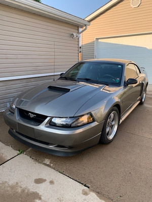 2002 Ford Mustang GT GT