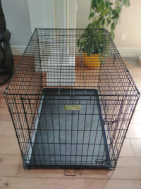 Cage pour chien icrate