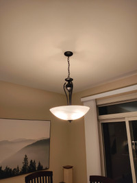 Hanging Light Fixture