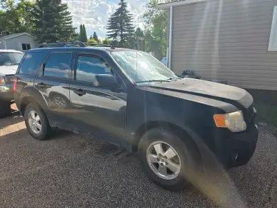 2009 Ford Escape XLT – Excellent Condition – $3,250 OBO Looking for a reliable SUV that’s ready to g...