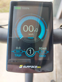 E-Bike Surface 604 Rook (Large) 