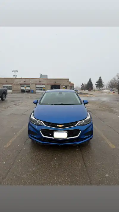 Car Rentals, View more