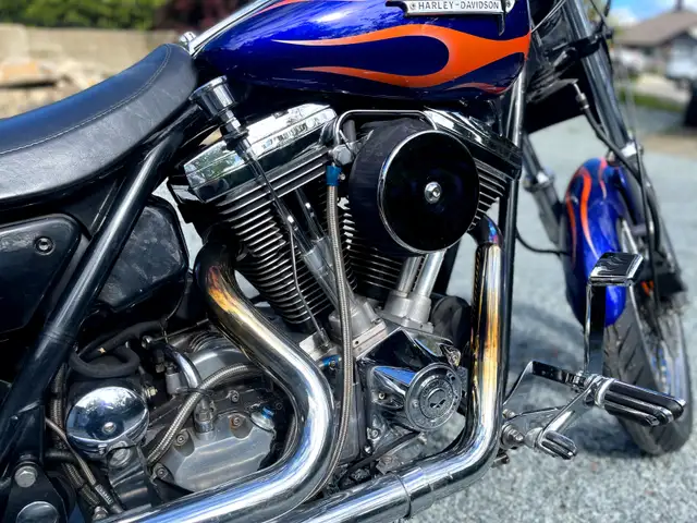 1982 Harley FXR in Street, Cruisers & Choppers in Vernon - Image 3