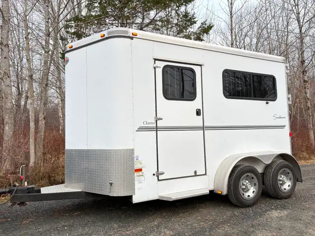 Horse Trailering in Horses & Ponies for Rehoming in Bedford - Image 3