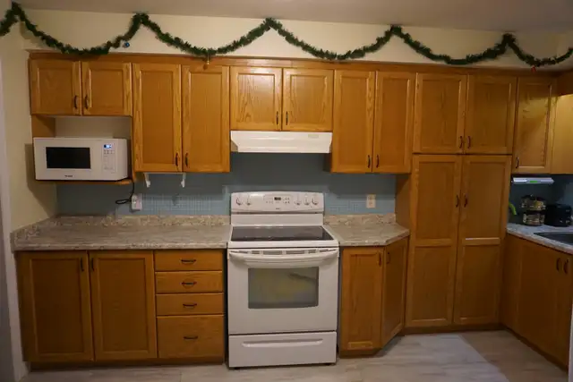 Kitchen cabinet doors for sale in Cabinets & Countertops in Kitchener / Waterloo - Image 2