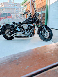 2008 Harley Davidson Cross Bones