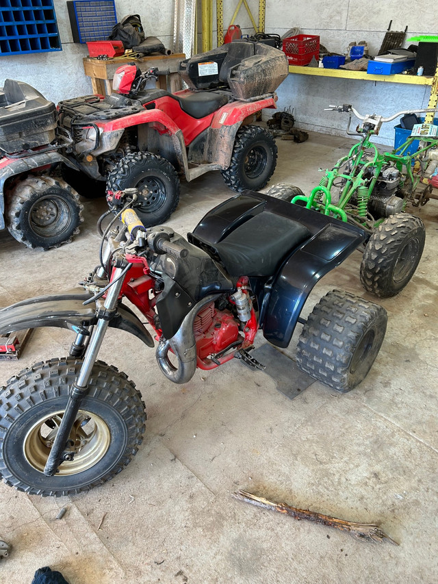 1984 ATC 250r in ATVs in Moncton - Image 3