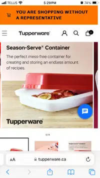 New Tupperware Season Serve container