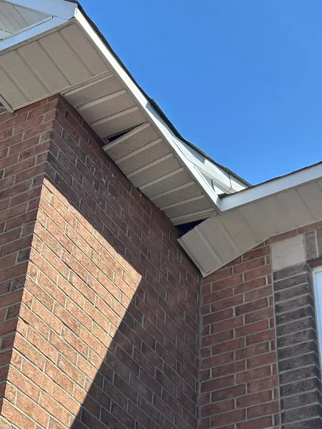 Siding, Soffit, Fascia installation and repairs628647414243871216