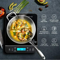 Duxtop induction cooktop (new )