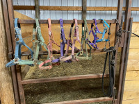 Various Halters - nylon and rope