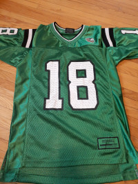 Youth und Sioux football jersey