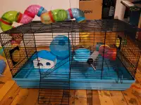 Hamster cage 
