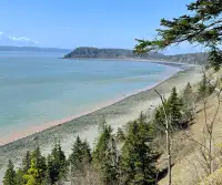 3.4-Acre Oceanfront Lot - 10 Mins From Parrsborro - Bay Of Fundy