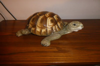 Tortue en porcelaine Giovanni Ronzan made in Italy #16405 x 10