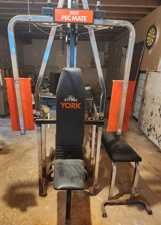 York Universal Gym Pec Mate 2001 Exercise Equipment Kawartha Lakes Kijiji Classifieds