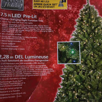 A Christmas tree for sale