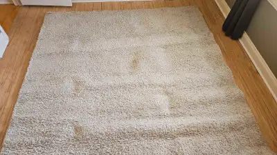 Great condition rug from smoke-free pet-free home. Selling as part of moving sale. Used for ~1 year...