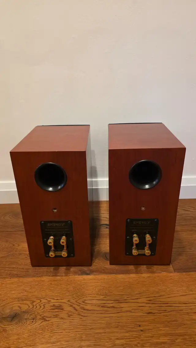 Energy Reference Connoisseur RC10 speakers in Speakers in Markham / York Region - Image 4