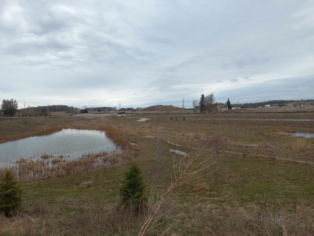 R7 vacant land 141 ft frontage by 116 ft depth in Land for Sale in Kitchener / Waterloo
