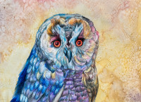 Owl Artwork 