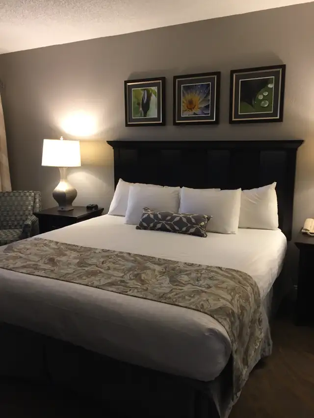 Weeks 10 11 12 – 2 bed 2 bath Orange Lake Resort in Orlando! in Florida in Canada - Image 6