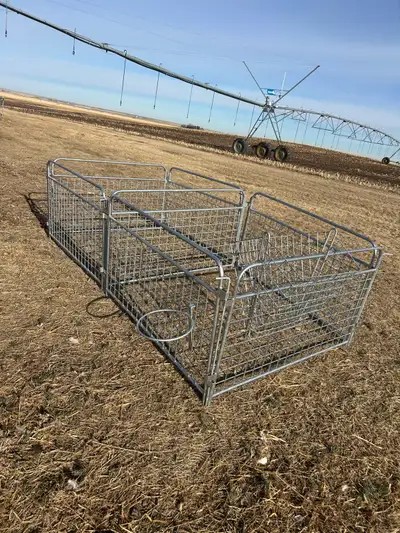 lambing cubes for sale, View more