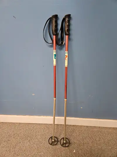 Adult ski poles, View more