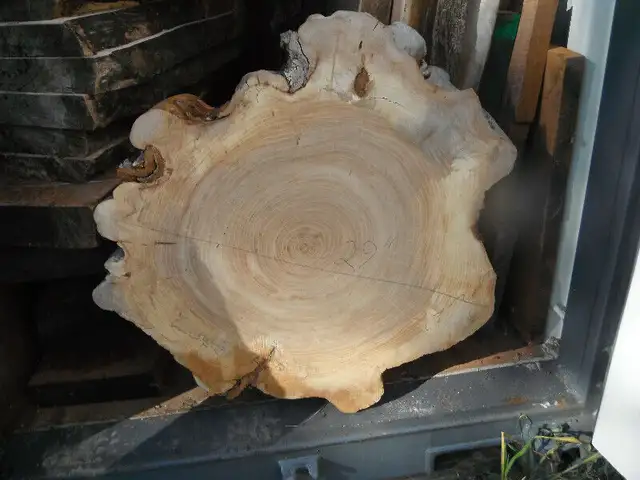 Live edge cookies in Hobbies & Crafts in Ottawa - Image 9