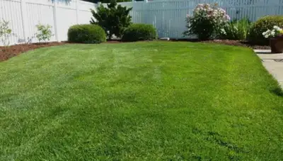 I'll cut your grass for anything above 30 dollars in red deer have all the equipment I'm just a teen...